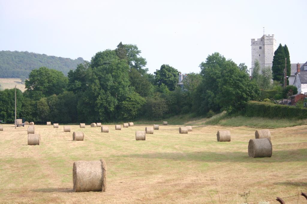 Devynock 特奈尔阿姆旅舍酒店 外观 照片